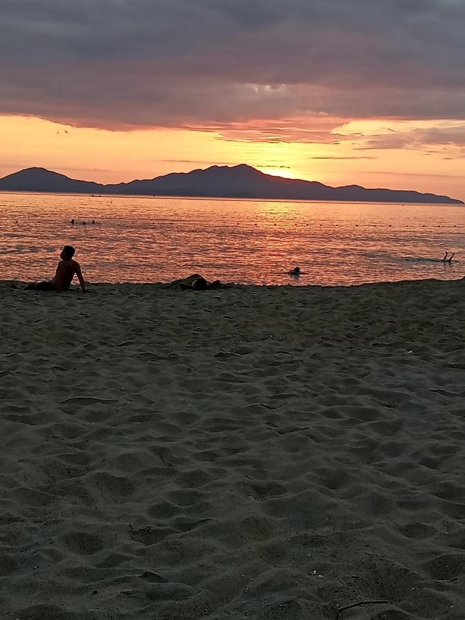 Pearl Beach Homestay Хойан Экстерьер фото